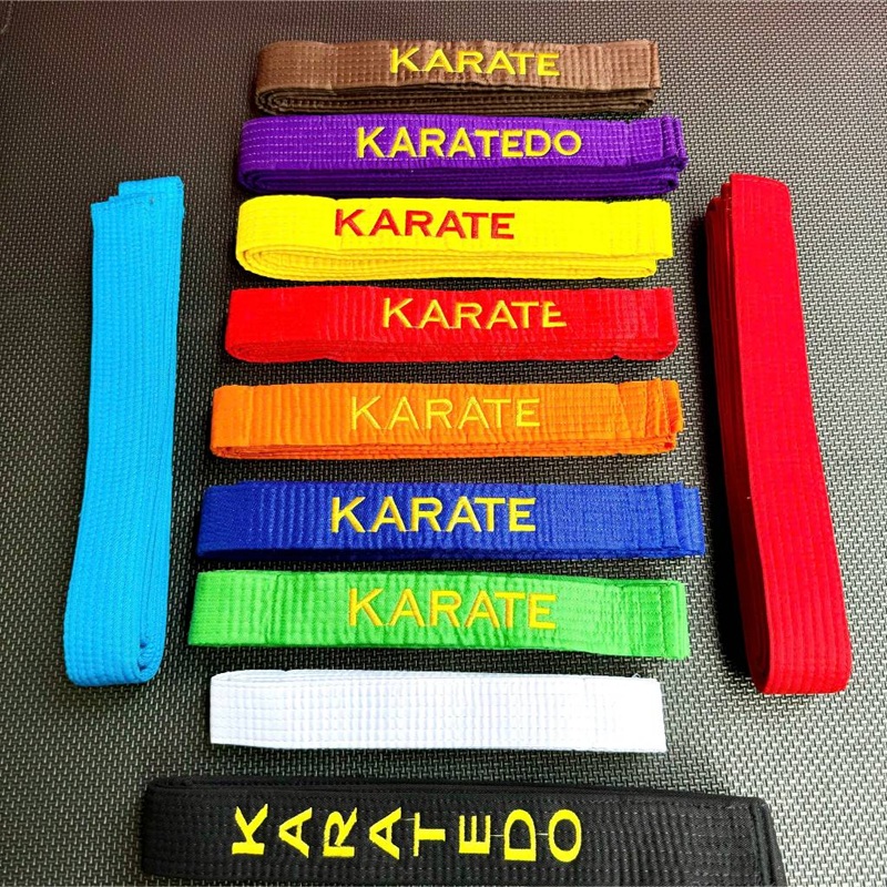 Hệ thống màu đai trong Karate là cuốn nhật ký ghi lại hành trình khổ luyện của võ sinh trên thảm tập.